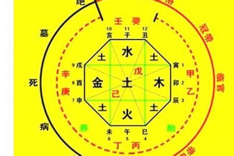 小孩八字|生辰八字算命、五行喜用神查詢（免費測算）